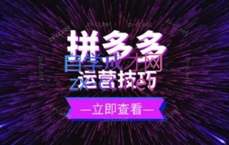 力辛电商·拼多多强付费店群玩法-康仁安资源