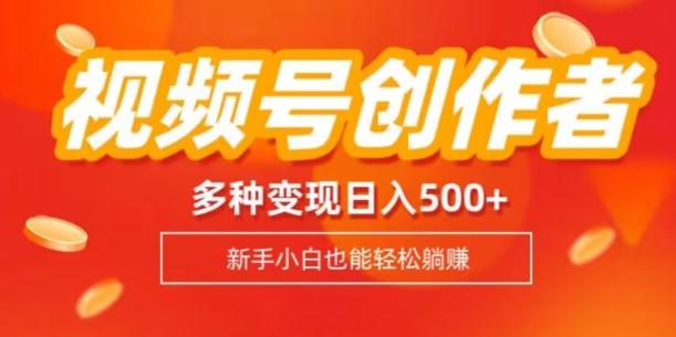 视频号创作者计划，多种变现方式，日入500+【内附1080g视频素材】-康仁安资源