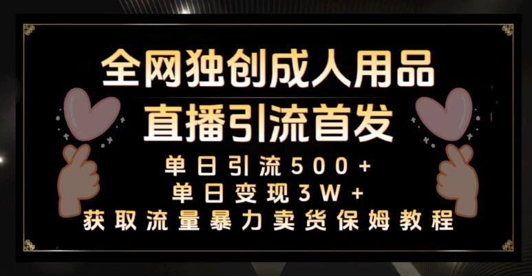 全网独创真人主播+无人直播单日引流500+，橙人用品暴力卖货单日变现3W+保姆似教学2.0【揭秘】-康仁安资源