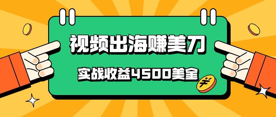 国内爆款视频出海赚美刀,实战收益4500美金,批量无脑搬运,无需经验直接上手-康仁安资源