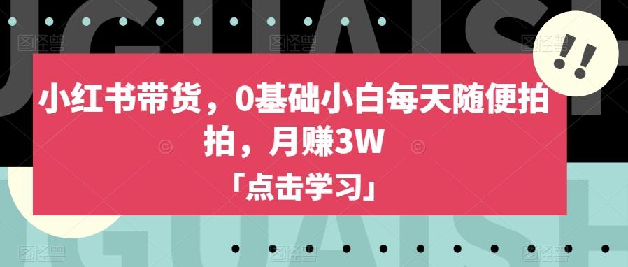 小红书带货，0基础小白每天随便拍拍，月赚3W【揭秘】-康仁安资源