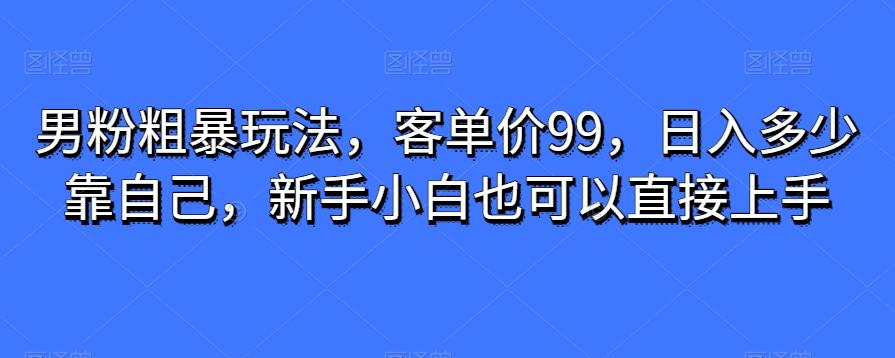 男粉粗暴玩法，客单价99，日入多少靠自己，新手小白也可以直接上手-康仁安资源