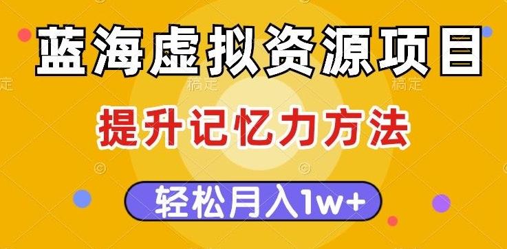 蓝海虚拟资源项目，提升记忆力方法，多种变现方式，轻松月入1w+【揭秘】-康仁安资源