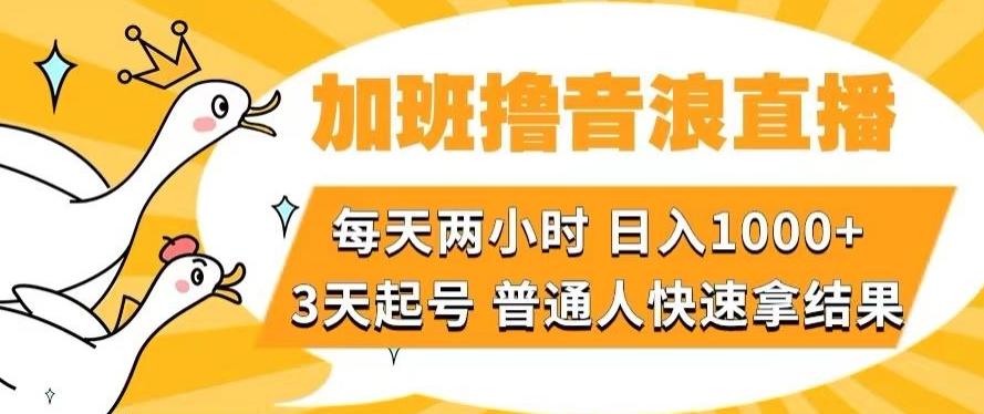 加班撸音浪直播，每天两小时，日入1000+，直播话术才3句，3天起号，普通人快速拿结果【揭秘】-康仁安资源