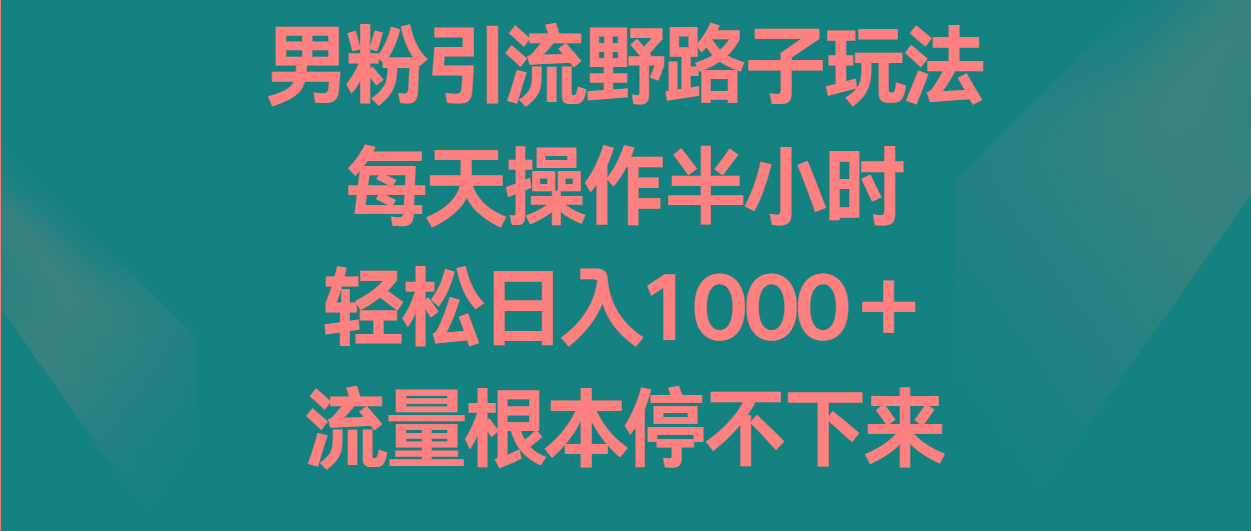 男粉引流野路子玩法，每天操作半小时轻松日入1000＋，流量根本停不下来-康仁安资源