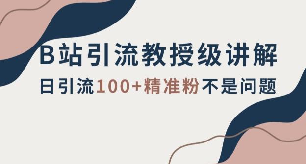 B站引流教授级讲解，细节满满，日引流100+精准粉不是问题【揭秘】-康仁安资源