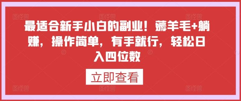 最适合新手小白的副业！薅羊毛+躺赚，操作简单，有手就行，轻松日入四位数【揭秘】-康仁安资源