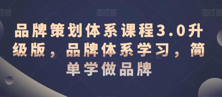 品牌策划体系课程3.0升级版，品牌体系学习，简单学做品牌-康仁安资源