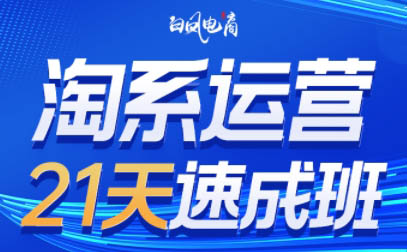 淘系运营21天速成班(更新9月)-康仁安资源