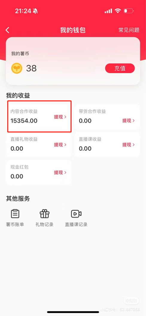 热门评论引爆小红书流量，作品制作简单，广告接到手软，月入过万不是梦-康仁安资源