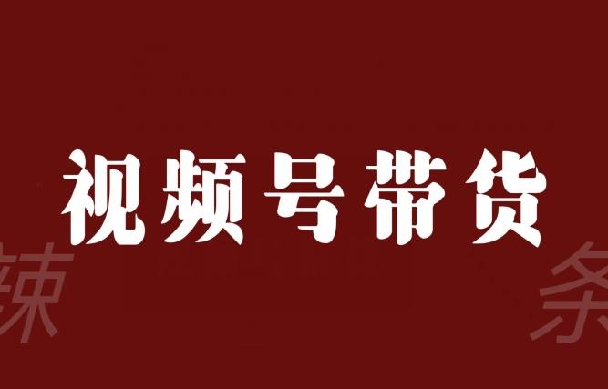 视频号带货联盟，赚信息差的带货钱，只需手机随时随地都可以做！-康仁安资源
