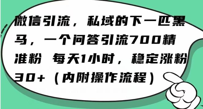 怎么搞精准创业粉？微信新赛道，每天一小时，利用Ai一个问答日引100精准粉-康仁安资源