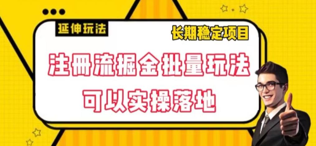 注册流掘金批量玩法，可以实操落地【揭秘】-康仁安资源
