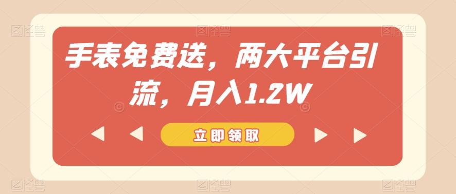 手表免费送，两大平台引流，月入1.2W【揭秘】-康仁安资源