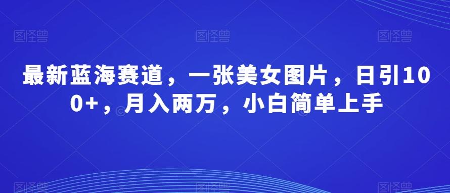 最新蓝海赛道，一张美女图片，日引100+，月入两万，小白简单上手-康仁安资源