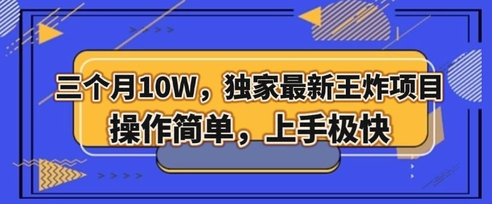 三个月10W，独家最新王炸项目！操作简单，上手极快【揭秘】-康仁安资源