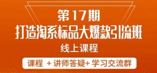 南掌柜-第17期打造淘系标品大爆款，5天线上课-康仁安资源