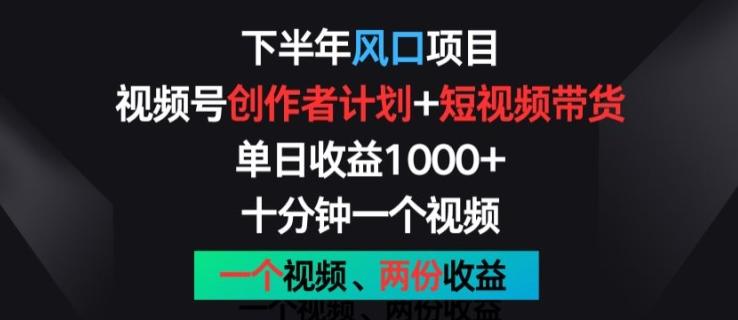 下半年风口项目，视频号创作者计划+视频带货，一个视频两份收益，十分钟一个视频【揭秘】-康仁安资源