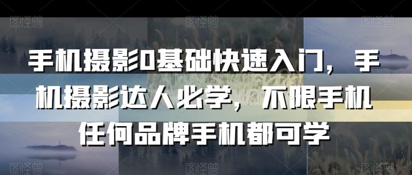 手机摄影0基础快速入门，手机摄影达人必学，不限手机任何品牌手机都可学-康仁安资源