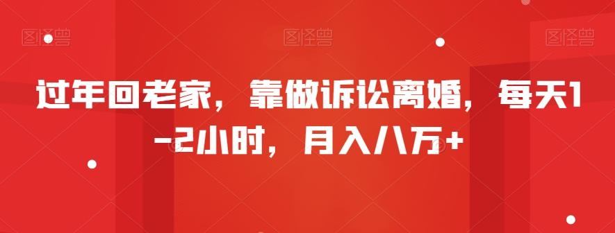 过年回老家，靠做诉讼离婚，每天1-2小时，月入八万+-康仁安资源