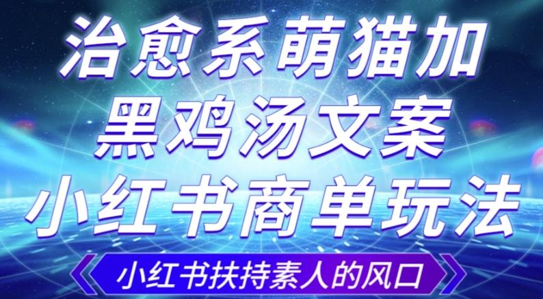 治愈系萌猫加+黑鸡汤文案，小红书商单玩法，3~10天涨到1000粉，一单200左右-康仁安资源