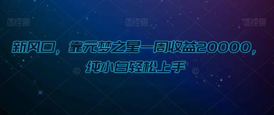 新风口，靠元梦之星一周收益20000，纯小白轻松上手-康仁安资源