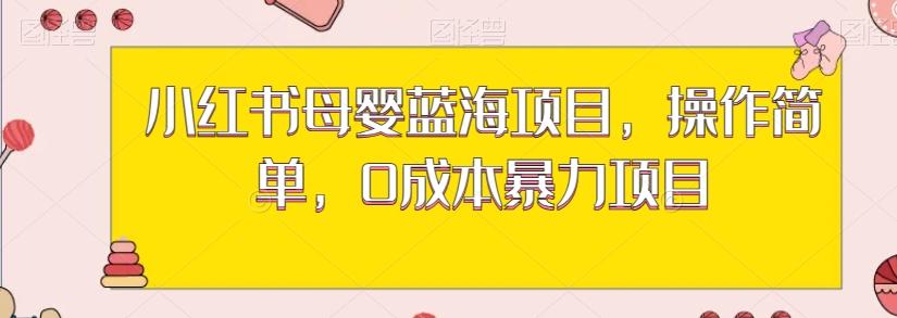 小红书母婴蓝海项目，操作简单，0成本暴力项目-康仁安资源