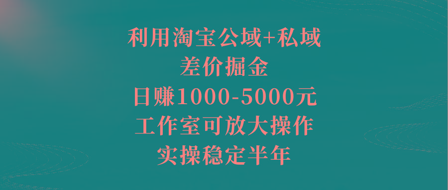 利用淘宝公域+私域差价掘金，日赚1000-5000元，工作室可放大操作，实操...-康仁安资源