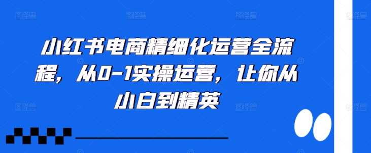 小红书电商精细化运营全流程,从0-1实操运营,让你从小白到精英-康仁安资源