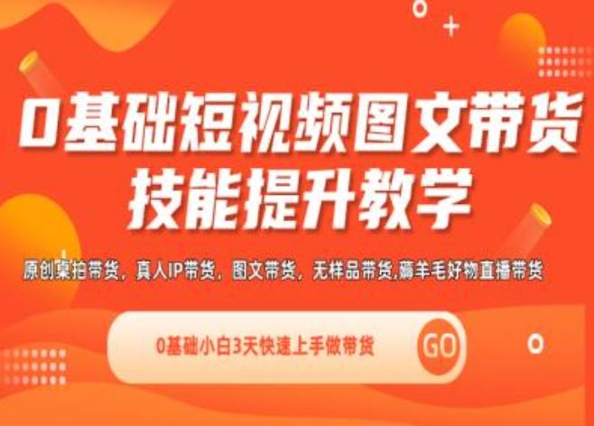 0基础短视频图文带货实操技能提升教学(直播课+视频课),0基础小白3天快速上手做带货-康仁安资源