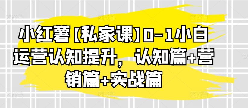 小红薯【私家课】0-1小白运营认知提升，认知篇+营销篇+实战篇-康仁安资源