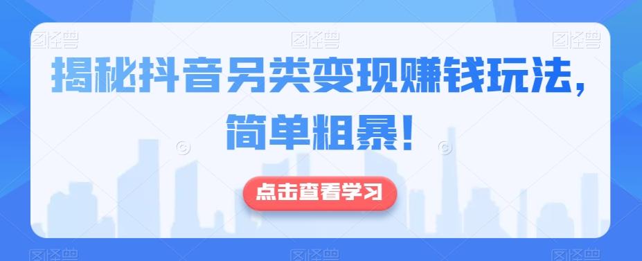揭秘抖音另类变现赚钱玩法，简单粗暴！-康仁安资源