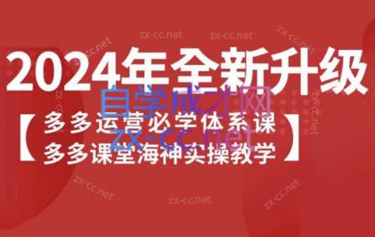 海神老师·拼多多运营必学体系课-康仁安资源