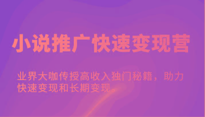 小说推广快速变现营-业界大咖传授高收入独门秘籍，助力快速变现和长期变现。-康仁安资源