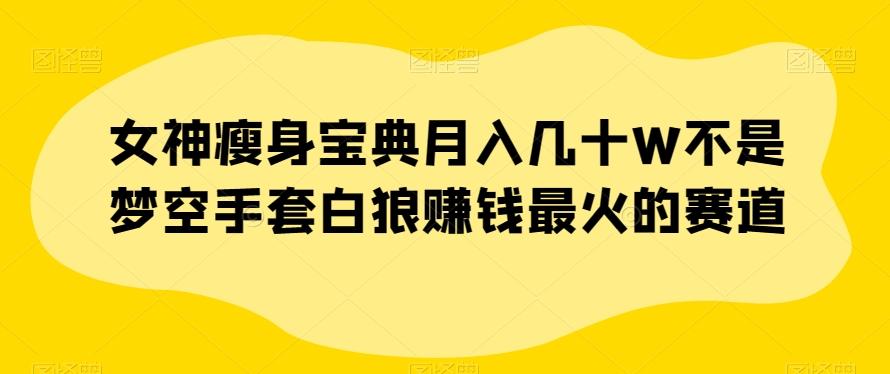 女神瘦身宝典月入几十W不是梦空手套白狼赚钱最火的赛道【揭秘】-康仁安资源