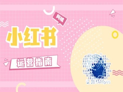 小红书运营指南，没有套路，全是经验-康仁安资源