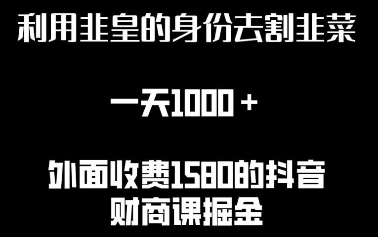 利用非皇的身份去割韭菜，一天1000+(附详细资源)【揭秘】-康仁安资源