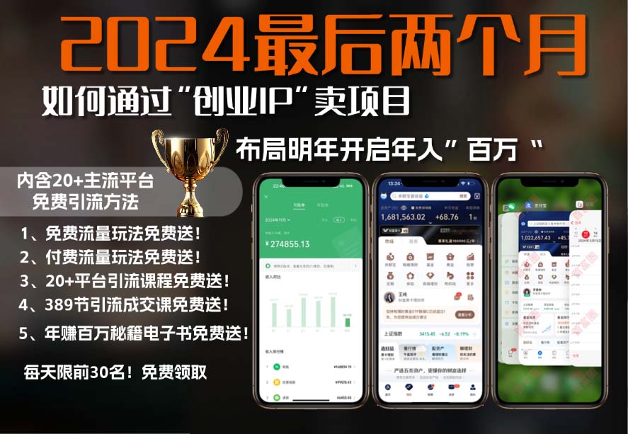 2024最后两个月如何通过”创业IP“卖项目年入”百万“,创业IP+最强引流...-康仁安资源
