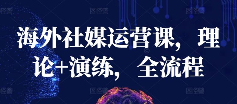 海外社媒运营课，理论+演练，全流程-康仁安资源