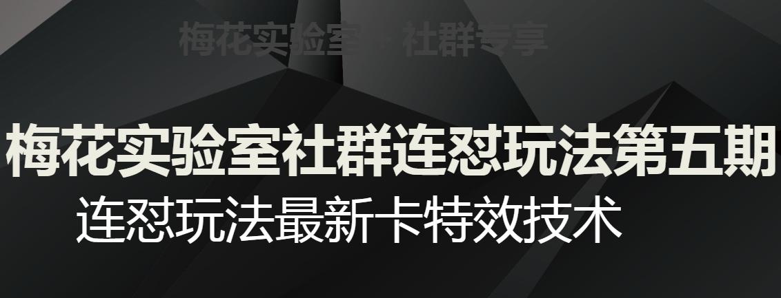 梅花实验室社群连怼玩法第五期，视频号连怼玩法最新卡特效技术-康仁安资源