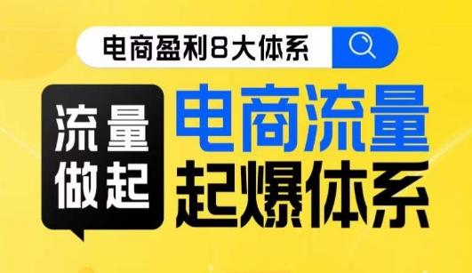 8大体系流量篇·流量做起，电商流量起爆体系线上课-康仁安资源