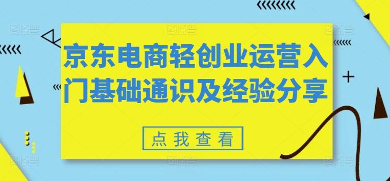 京东电商轻创业运营入门基础通识及经验分享-康仁安资源