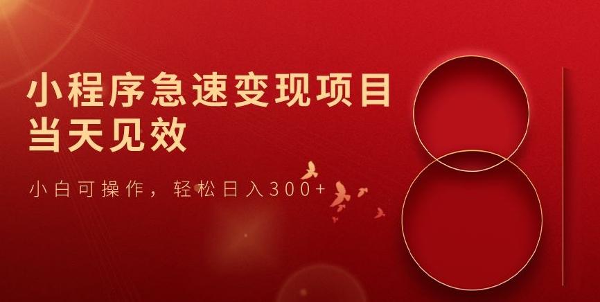 小程序急速变现项目，当天见效，小白可操作，轻松日入300+-康仁安资源