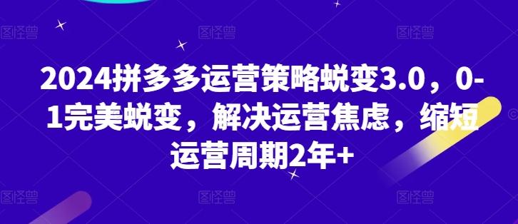 2024拼多多运营策略蜕变3.0，0-1完美蜕变，解决运营焦虑，缩短运营周期2年+-康仁安资源