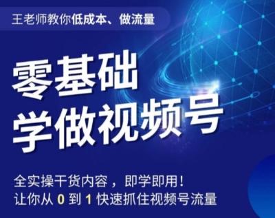 王老师教你低成本、做流量，零基础学做视频号，0-1快速抓住视频号流量-康仁安资源