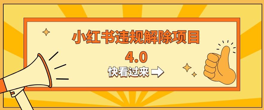 小红书违规掘金蓝海项目，日入800+（附带引流办法及解除办法）-康仁安资源