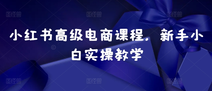 小红书高级电商课程，新手小白实操教学-康仁安资源