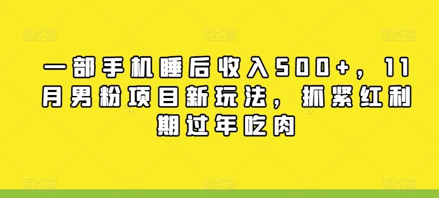 一部手机睡后收入500+，11月男粉项目新玩法，抓紧红利期过年吃肉-康仁安资源