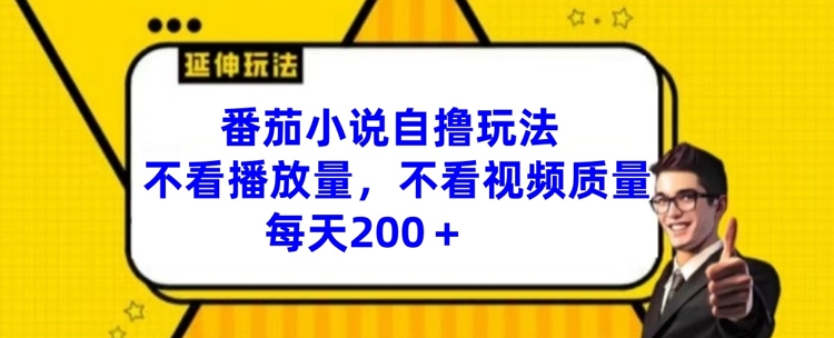 番茄小说自撸玩法，不看播放量，不看视频质量，每天200+【揭秘】-康仁安资源