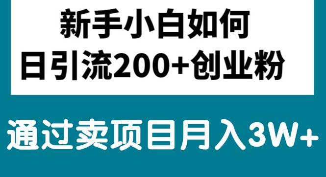 新手小白日引流200+创业粉,通过卖项目月入3W+-康仁安资源